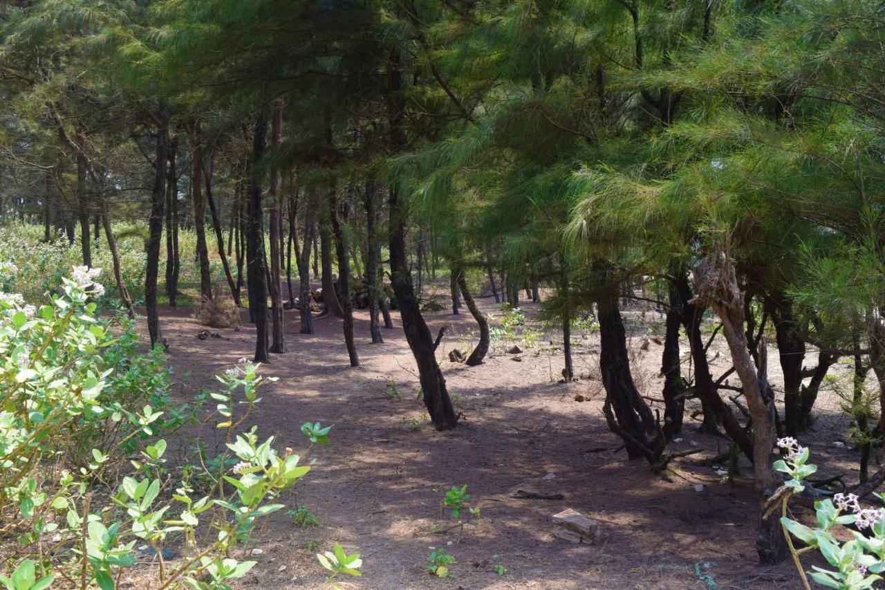 Rama Niwas Beach Home Stay Pawas Eksteriør bilde