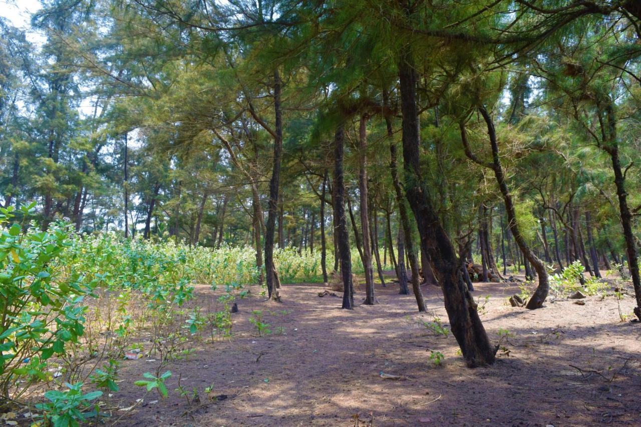 Rama Niwas Beach Home Stay Pawas Eksteriør bilde